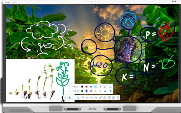 SMART 65 inch RX Series Interactive Display